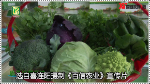 夷陵區(qū)百信農業(yè)